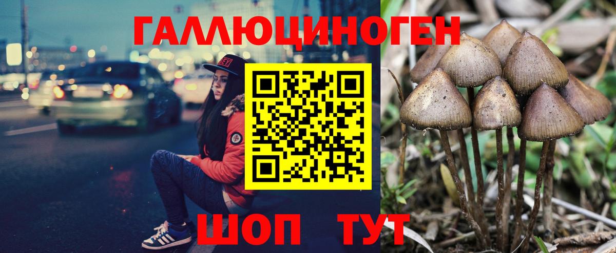 Галлюциногенные грибы MAGIC MUSHROOMS Кизляр